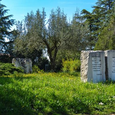 20230422 Dsc 0006