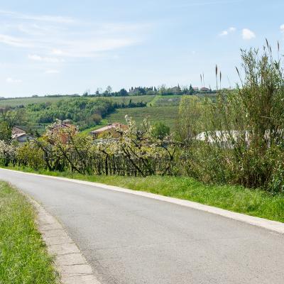 Dsc 4091
