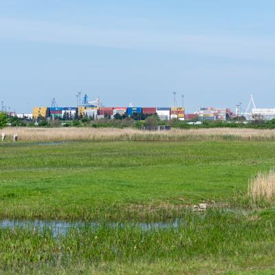 Dsc 4109